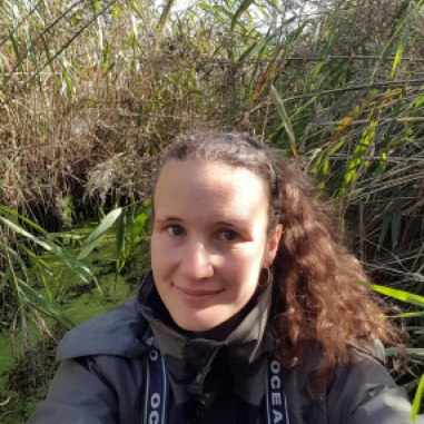 Anne Planeta Etzerodt - P006400 - Faxe Kommune - 3111s billede