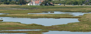 strandenge beskytter bebyggelse